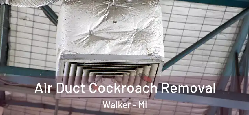  Air Duct Cockroach Removal Walker - MI