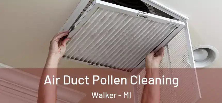  Air Duct Pollen Cleaning Walker - MI
