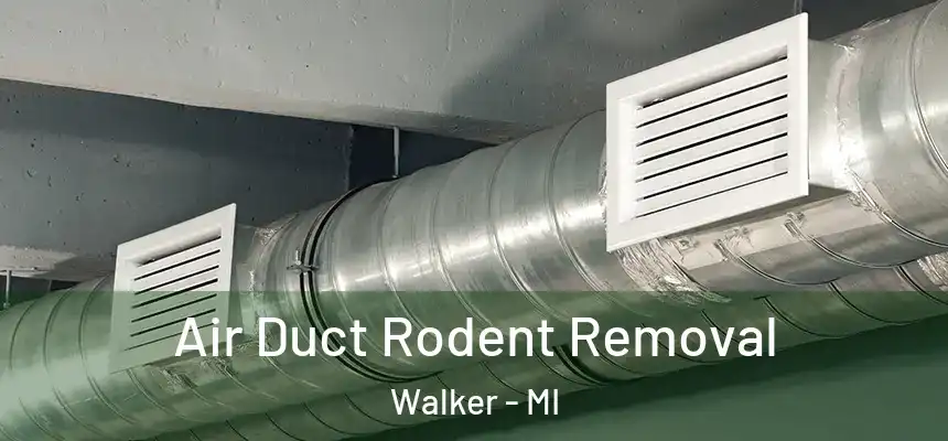  Air Duct Rodent Removal Walker - MI