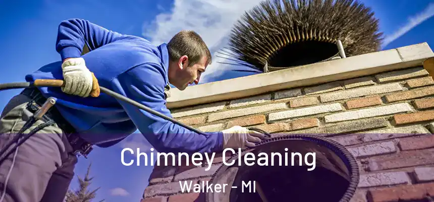  Chimney Cleaning Walker - MI