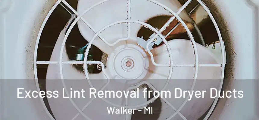  Excess Lint Removal from Dryer Ducts Walker - MI
