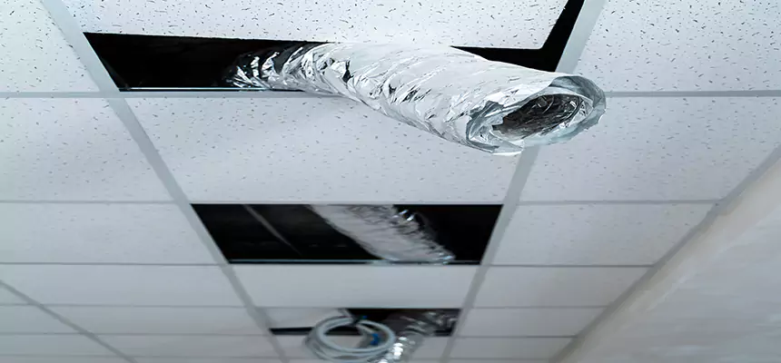 Our Air Duct Pet Hair Removal Services in Walker, MI