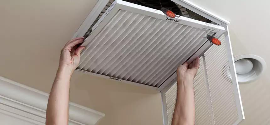 Our Insect Removal from Air Ducts Services in Walker, MI