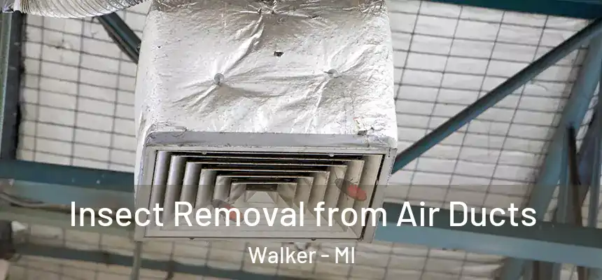 Insect Removal from Air Ducts Walker - MI