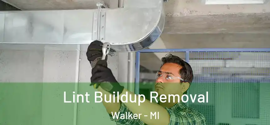  Lint Buildup Removal Walker - MI