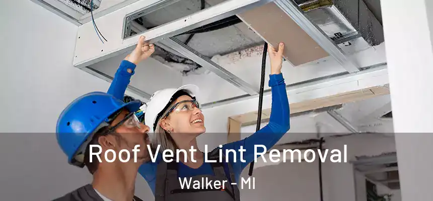  Roof Vent Lint Removal Walker - MI