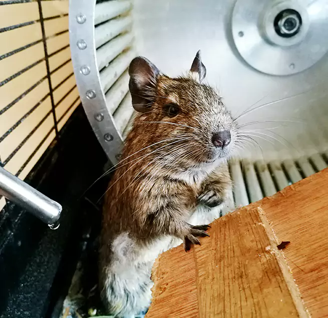 Why Homeowners & Businesses Trust Us Walker, MI