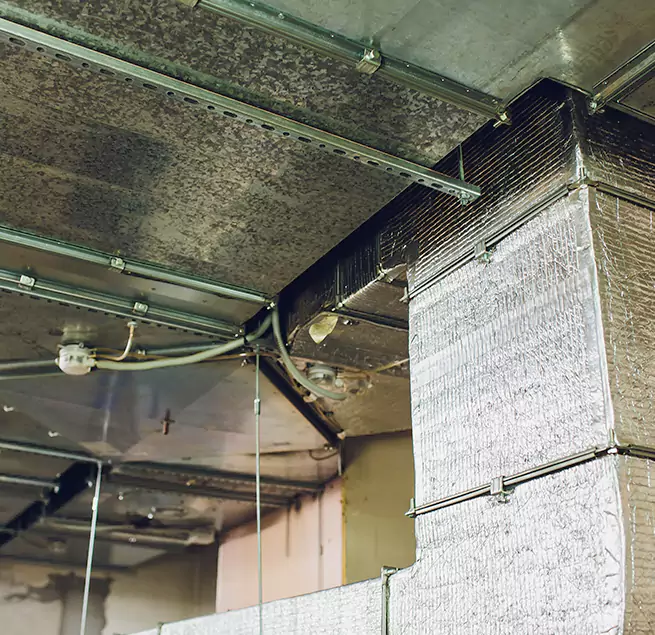 Why Homeowners & Businesses Trust Us in Walker, MI?